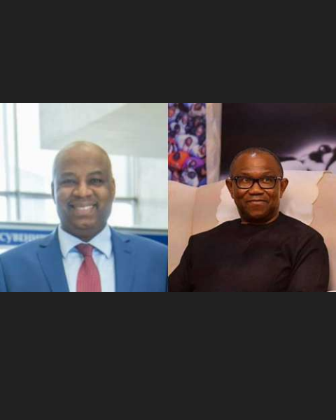 Presidency 2023: PDP Chairman Backs Labour Party Presidential Candidate Peter Obi For 2023 Election