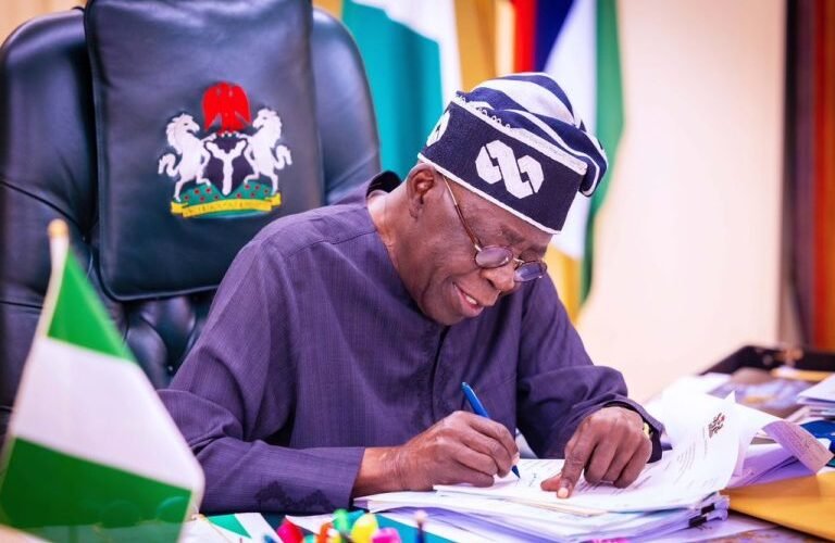 President Tinubu Appoints New Immigration Comptroller-General