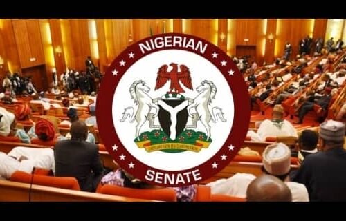 Senate Approves Tinubu’s Request  To Sack Top Govt Official
