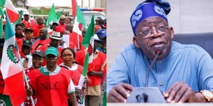 Nigerians Are Angry With You – NLC Warns Tinubu Over Looming Hardship Protest