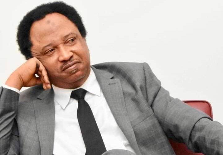 The Daura Homage Of The Disgruntled And The Obsessed Northern Politicians Will Fail – Senator Shehu Sani