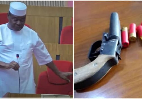 My Phone Detected 277 Guns Around Senate Chamber – Jimoh Ibrahim