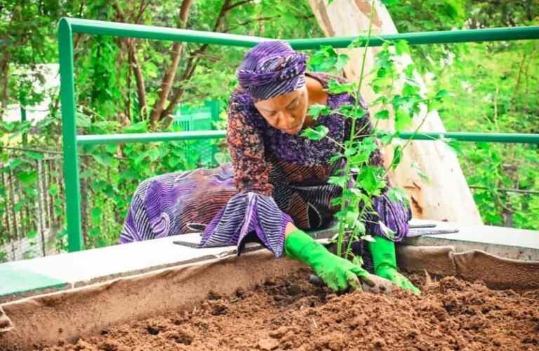 I Grow Vegetables; Nigerian Women Should Also Get Involved In Farming – Remi Tinubu