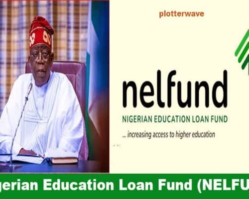 NELFUND Opens Student Loan Application For 36 State-Owned Tertiary Institutions (See List)