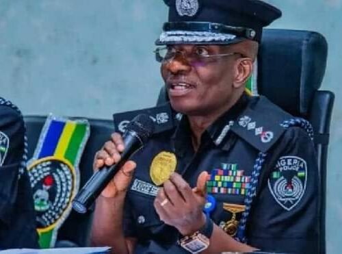 Submit Your Names, Addresses To Police – IGP Tells Protest Organizers