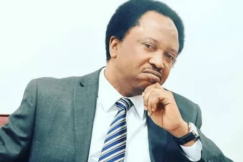 Senator Shehu Sani Demands Apology From Ayodele Fayose Over Remarks On Northern Marriage Practices