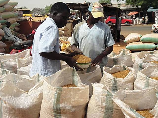 Food Inflation: Expect Bumper Harvest, Agriculture Minister Assures Nigerians