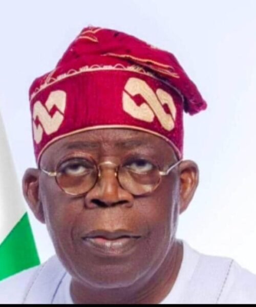 President Tinubu Appoints New Governing Councils For Federal Universities, Institutions