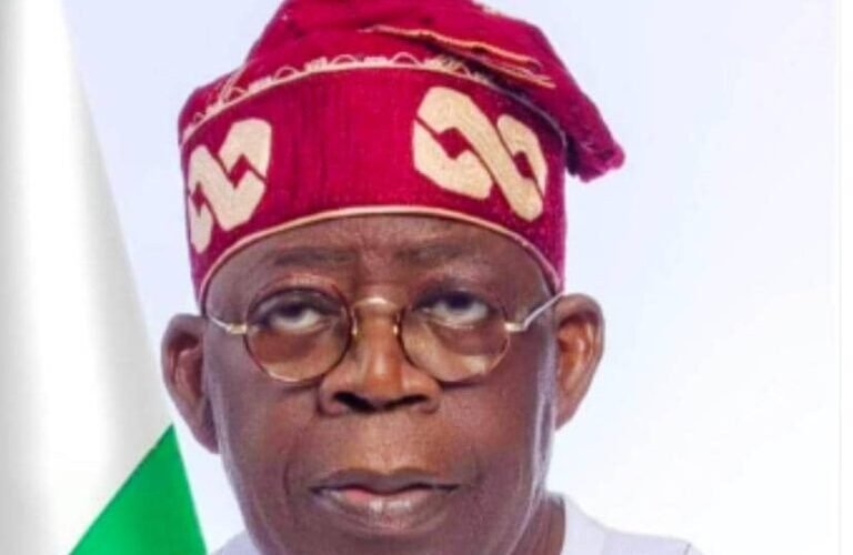 President Tinubu Appoints New Governing Councils For Federal Universities, Institutions