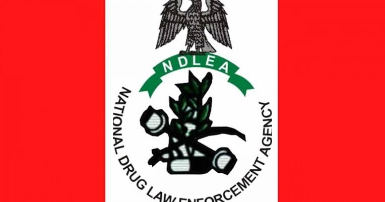 NDLEA Proposes Mandatory Drug Tests For University Admissions