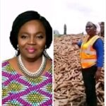 Meet Nigerian Woman Who Produces Over 10,000 Tons Of Cassava And Makes Over $12 Million Annually