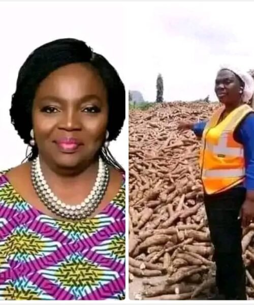 Meet Nigerian Woman Who Produces Over 10,000 Tons Of Cassava And Makes Over $12 Million Annually