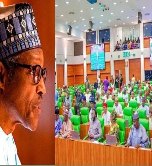 Tension As House Of Reps Begins Move To Investigate Buhari’s Government