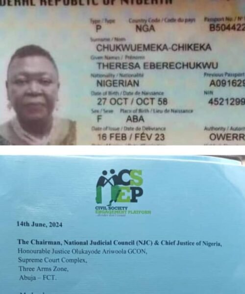 Crisis In IMO State Judiciary! NJC Must Act Now To Restore Confidence – CSO Coalition