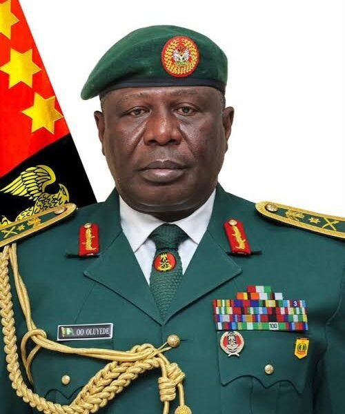 House Of Reps Confirmed Olufemi Oluyede As Chief Of Army Staff