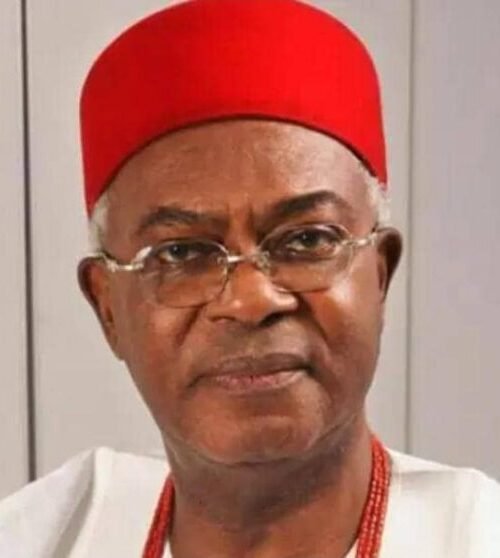 Stop Milking Nigeria Like A Cow, It’ll Soon Dry Up – Obi of Onitsha Warn Politicians