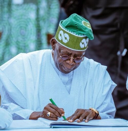 President Tinubu Appoints New CEOs For NUC, 3 Others