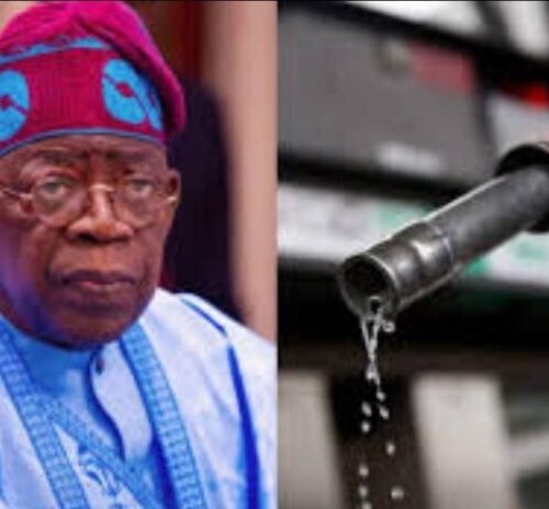 President Tinubu Advised To Reduce Fuel Price To N300/Litre For Xmas, New Year Celebration