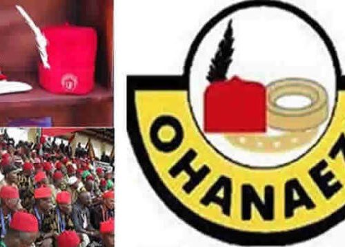 OHANEZE NDIGBO WORLDWIDE: New President General Appointed