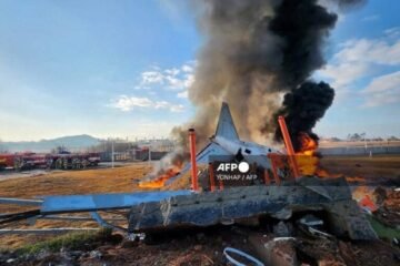 South Korean Passenger Plane With 176 Onboard Catches Fire