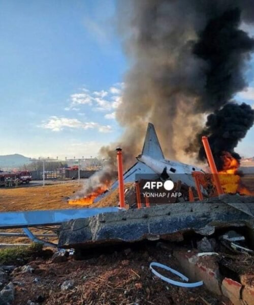 South Korean Passenger Plane With 176 Onboard Catches Fire