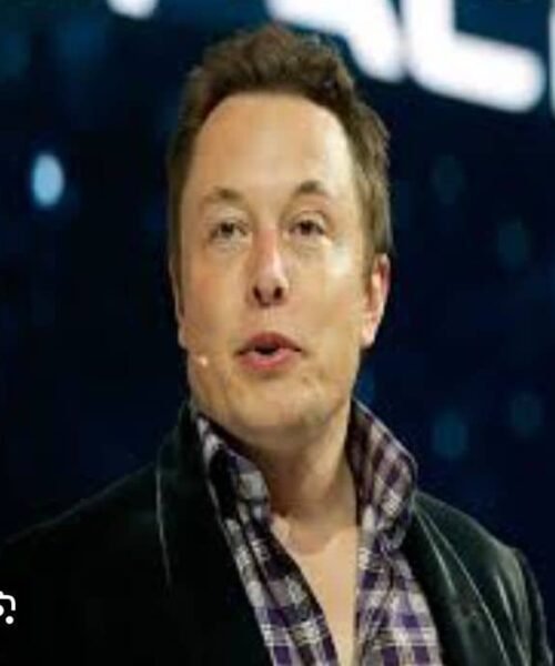 Pioneering The Impossible: The Unstoppable Spirit Of Elon Musk And Christopher Columbus – By Dr. Chukwuemeka Ifegwu Eke