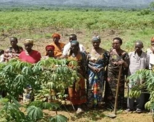 Farming Communities In ABIA State: A Story Of Resilience And Prosperity – By Dr. Chukwuemeka Ifegwu Eke