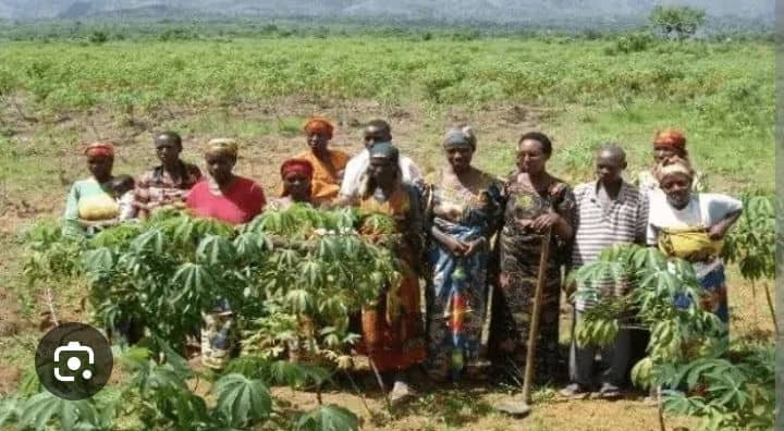 Farming Communities In ABIA State: A Story Of Resilience And Prosperity – By Dr. Chukwuemeka Ifegwu Eke