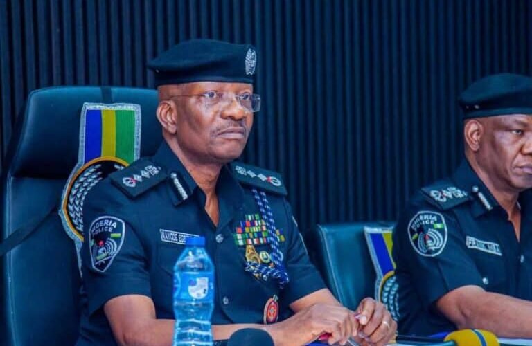 3,907 Arms Went Missing Before Egbetokun’s Tenure – Police Respond To Senate Panel