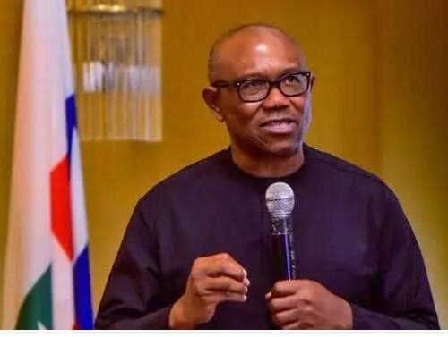 We Endorse Obi’s Participation In Coalition Talks – Nenadi Usman-Led LP Tells Abure
