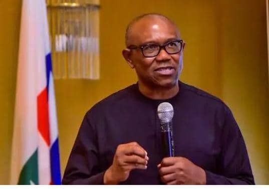 We Endorse Obi’s Participation In Coalition Talks – Nenadi Usman-Led LP Tells Abure