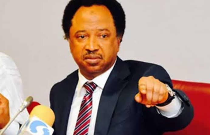 2027: North Must Support Tinubu To Complete 8 Years, He Did Well – Shehu Sani
