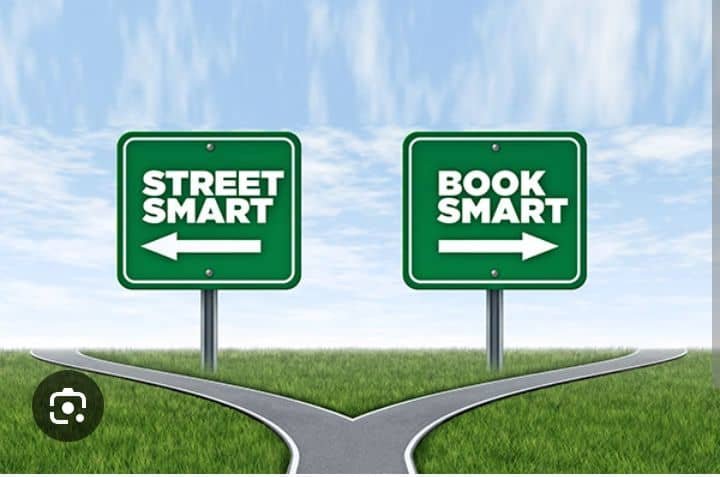 Book Smart Versus Street Smart: A Qualitative Analysis Of Entrepreneurial Cognition Among ABIA Youths – By Dr. Chukwuemeka Ifegwu Eke
