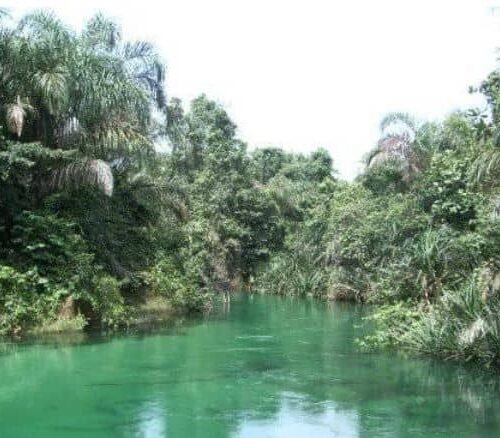 A Symphony Of Renewal: The Unseen Spring In Abia’s Soul – By Chukwuemeka Ifegwu Eke