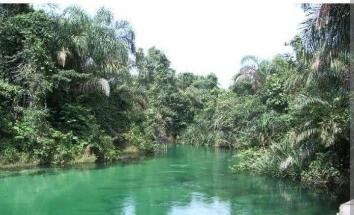A Symphony Of Renewal: The Unseen Spring In Abia’s Soul – By Chukwuemeka Ifegwu Eke