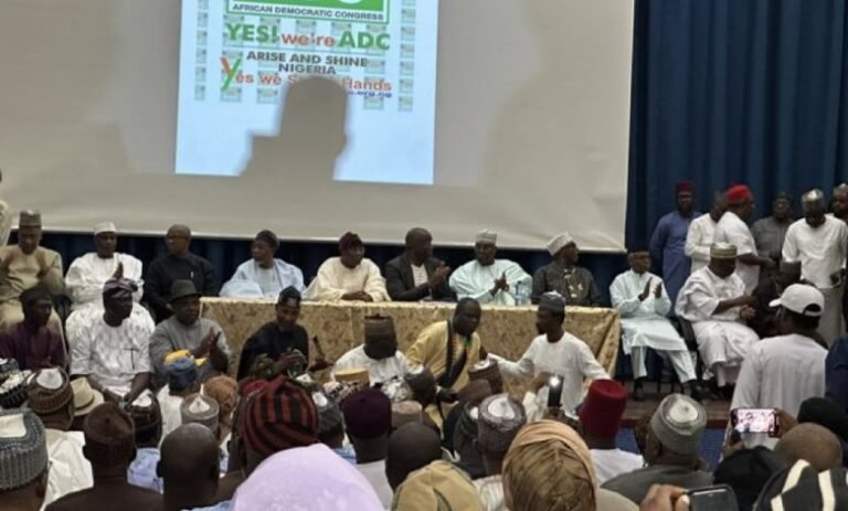 2027: ‘All Members Seeking To Be President’ – Omisore Downplays Coalition