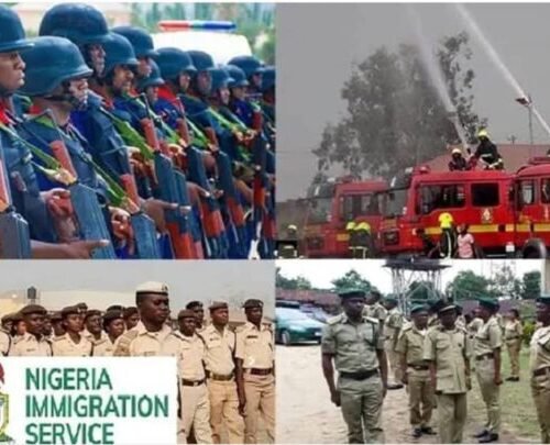 FGN Issues Fresh Update On Ongoing Civil Defence, Immigration, Fire Recruitment