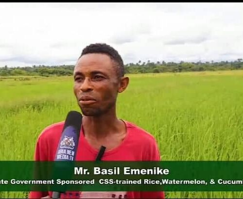 The Ripple Effect Of Empowerment: How One ABIA Farmer Is Multiplying Governor Otti’s Investment – By Prof. Chukwuemeka Ifegwu Eke