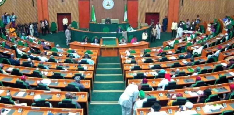 Use Of Harmful Substances To Preserve Frozen Foods Rock Nigeria, Reps Begin Probe