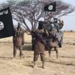 IMG 20251107 WA00031