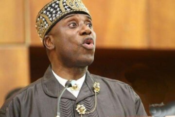 Genocide: What We Discussed With American Officials – Amaechi