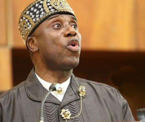 Genocide: What We Discussed With American Officials – Amaechi