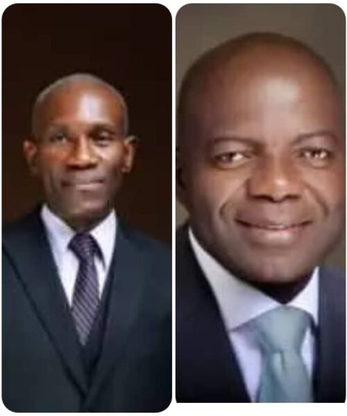 When Falsehood Becomes A Career Path- By Chukwuemeka Ifegwu Eke