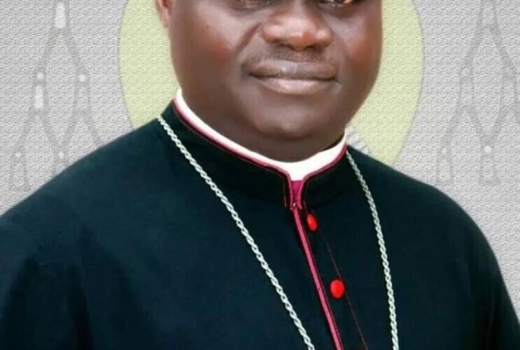 IMG 20251121 WA00011