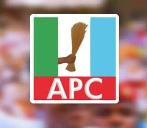 2027: APC To ‘Loose’ All South Eastern States – By Prof Chukwuemeka Ifegwu Eke