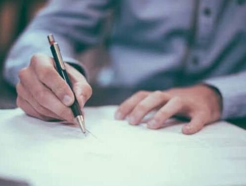 How To Critique A Constituted Government: An Exciting Game – By Prof Chukwuemeka Ifegwu Eke