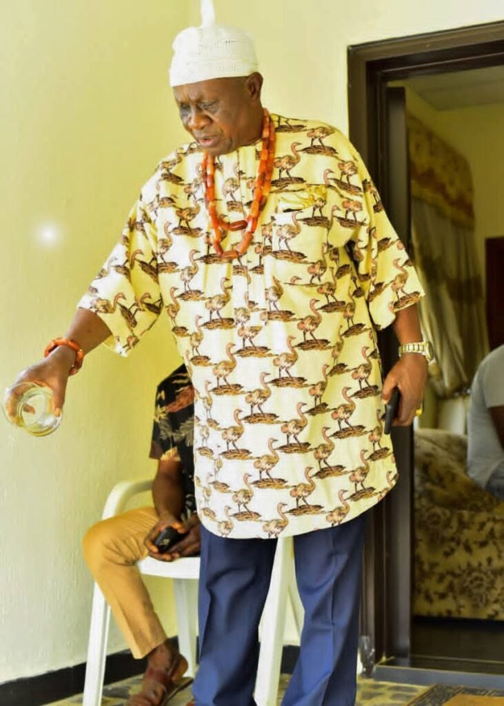 We Are Happy Ikenna Ukwa Has Remembered Us By Facilitating Solar Street Lights In Nkporo....HRH Eze Agwu N. Kalu 4 18989