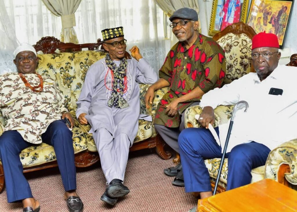 We Are Happy Ikenna Ukwa Has Remembered Us By Facilitating Solar Street Lights In Nkporo....HRH Eze Agwu N. Kalu 3 18994