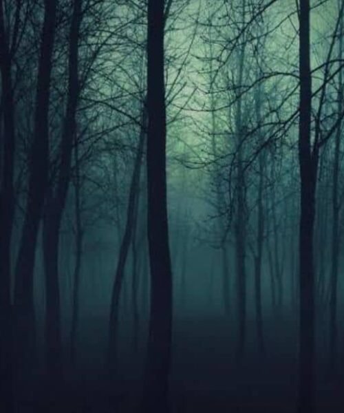 Forests, Fortune, And Power: The Dark Political Economy Of Violence, Exploitation And Insecurity In Nigeria – By Prof. Chukwuemeka Ifegwu Eke