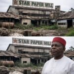 Abia’s Star Paper Mill Not Publicity Stunt, Followed AMCON Due Process – By Prof Chukwuemeka Ifegwu Eke